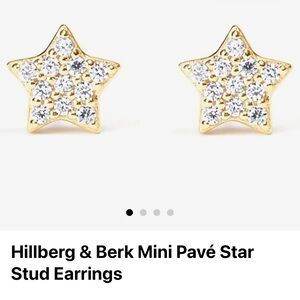 Hillberg & Berk Gold Star Stud Earrings